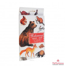 Дидактические карточки 