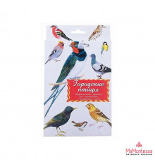 Дидактические карточки 