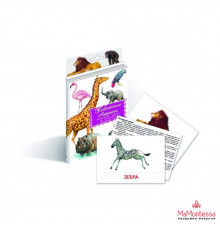 Дидактические карточки 