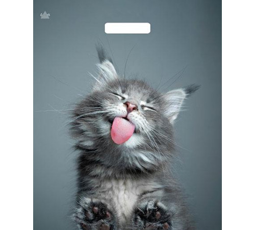 Пакет Прорубка 38*45=60 Кот Ламинат прор (50/500) №16