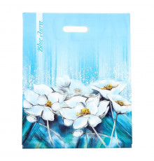 Пакет Ламинат прорубная ручка 38*47=60 Ламинат Аура прор (50/500) №9