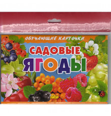 Обучающе карточки. Карточки (европодвес). Садовые ягоды . Литур.
