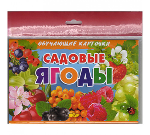 Обучающе карточки. Карточки (европодвес). Садовые ягоды . Литур. Обучающе карточки. Карточки (европодвес). Садовые ягоды . Литур.