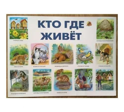Кто где живет. Плакат
