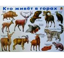 Кто живет в горах. Плакат