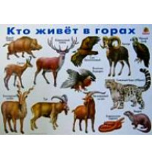 Кто живет в горах. Плакат