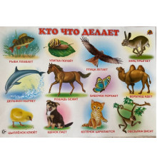 Кто что делает. Плакат
