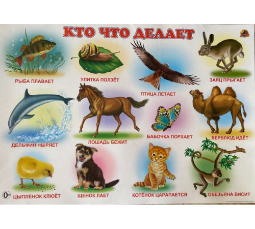 Кто что делает. Плакат Кто что делает. Плакат