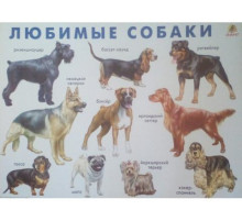 Линг.Любимые собаки.(плакат)
