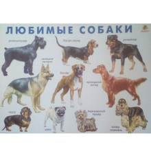 Линг.Любимые собаки.(плакат)
