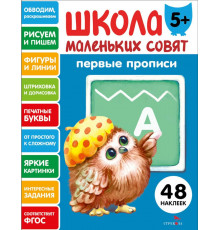 Школа маленьких совят 5+ Первые прписи