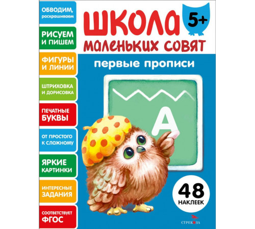 Школа маленьких совят 5+ Первые прписи