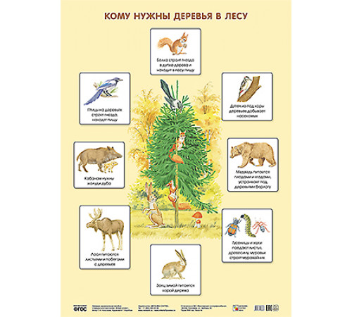 Плакат. Кому нужны деревья в лесу Плакат. Кому нужны деревья в лесу