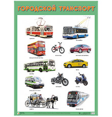 МС.Развивающие плакаты. Городской транспорт