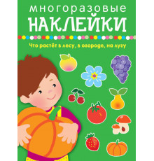 Многоразовые наклейки. Что растет в лесу, в огороде, на лугу (арт.4137)