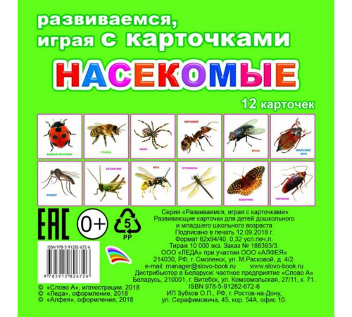 Обучающие карточки. Насекомые Обучающие карточки. Насекомые