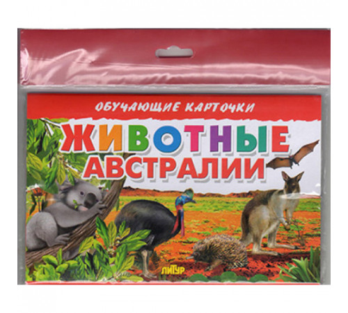 Обучающе карточки. Карточки (европодвес). Животные Австралии . Литур.
