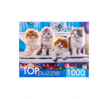 TOPpuzzle. ПАЗЛЫ 1000 элементов.  Котята скоттиш фолд