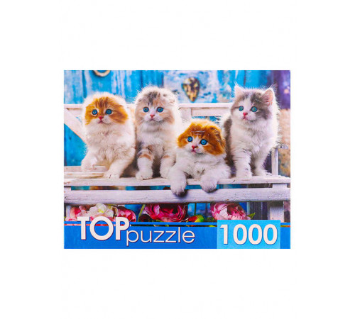 TOPpuzzle. ПАЗЛЫ 1000 элементов.  Котята скоттиш фолд
