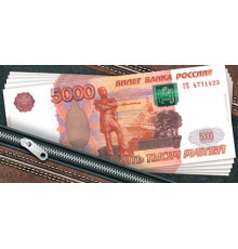 Конверт для денег 2-16-2554А 5000 рублей (ФС)
