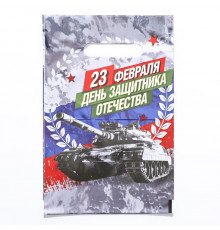 Пакет -День Защитника Отечества-, полиэтиленовый с вырубной ручкой, 20х30 см, 30 мкм 10082839