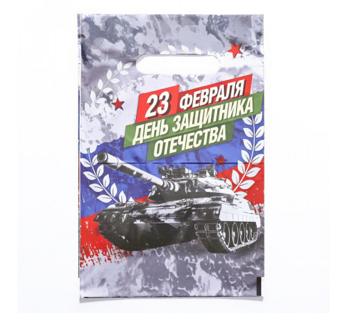 Пакет -День Защитника Отечества-, полиэтиленовый с вырубной ручкой, 20х30 см, 30 мкм 10082839