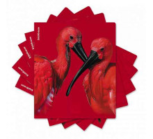 Тетрадь общая ученическая ErichKrause Scarlet, 48 листов, клетка, ламин/ soft-touch+выборочный УФ