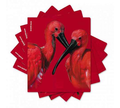 Тетрадь общая ученическая ErichKrause Scarlet, 48 листов, клетка, ламин/ soft-touch+выборочный УФ