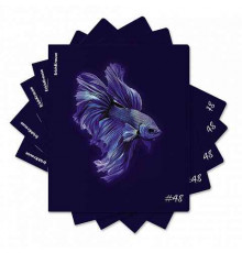 Тетрадь общая ученическая ErichKrause Indigo, 48 листов, клетка, ламин. soft-touch+выборочный УФ-