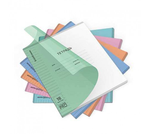 Тетрадь общая ученическая с пластиковой обл. на скобе ErichKrause Классика CoverPrо matt, Dream,