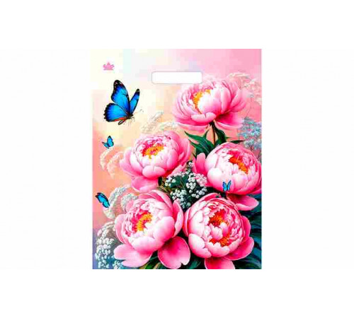 Пакет 31*40=30 На рассвете ВД прор № 16