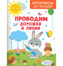 Проводим дорожки и линии