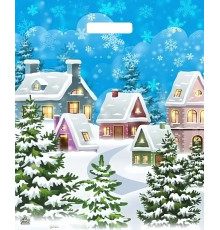 ТК.Пакет.38*45=60 