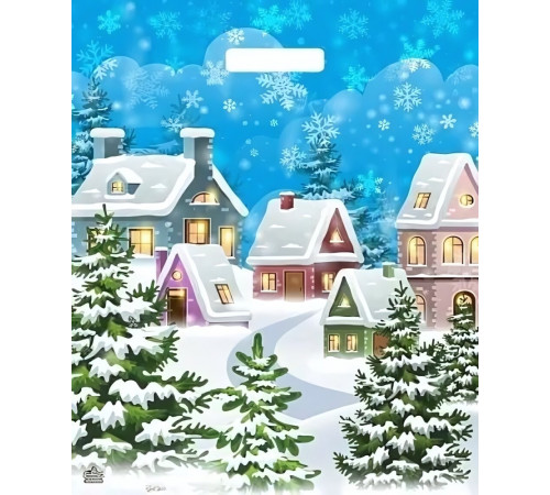 ТК.Пакет.38*45=60 