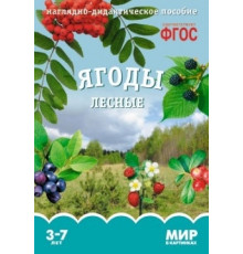 Мир в картинках.Ягоды лесные.