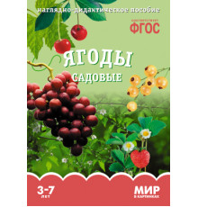 Мир в картинках.Ягоды садовые.