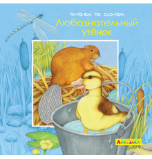Айфолика. Читаем по слогам. Любознательный утенок (4378) меловка