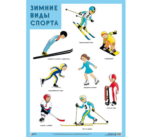 Развивающие плакаты. Зимние виды спорта