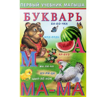 Развивающие задания и тесты. Первый учебник малыша. Букварь