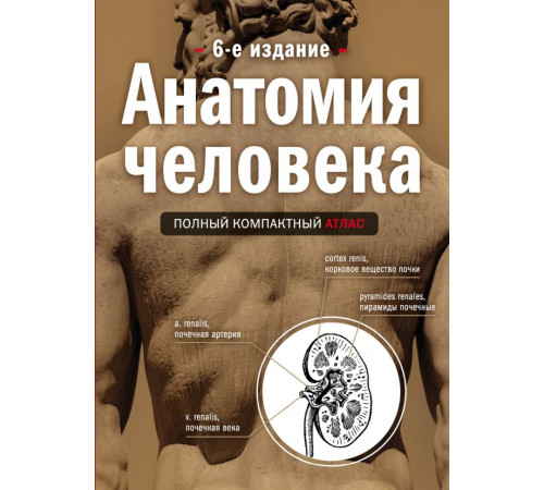 Медицинский атлас Анатомия человека: полный компактный атлас. 6-е издание