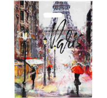 Пакет 38*45+3=50 мкм Дождь в Париже Глянец ВД прор