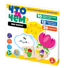 Игра развивающая Что за чем? 