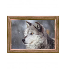 Раскраска на картоне А3 (в коробке) Зимний волк (арт.Р-2568)