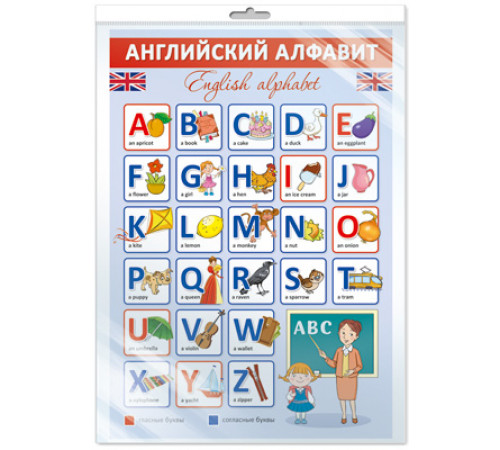 Плакат А3 в пакете. Английский алфавит