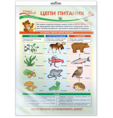 Плакат А3 Окружающий мир в начальной школе. Цепи питания (в индивидуальной упаковке)