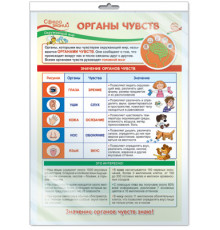 Плакат А3 Окружающий мир в начальной школе. Органы чувств (в индивидивидуальной упаковке)