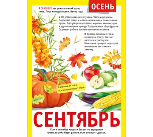 Мини-плакат Мини-плакат