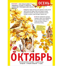 Мини-плакат 