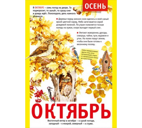 Мини-плакат Мини-плакат