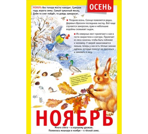Мини-плакат Мини-плакат